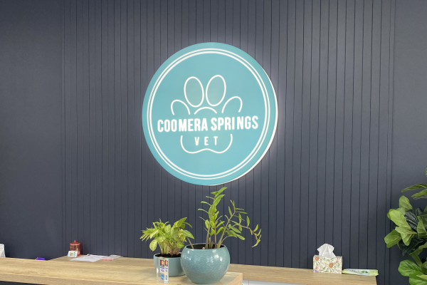 Teal Illuminated circle sign on dark grey background
