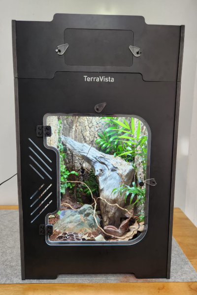 black box with clear window cutout showing plants and wood suitable for reptile enclosure