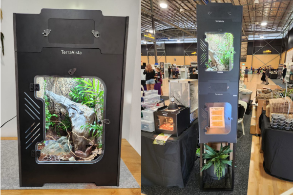 Black box terrariums with wood and plants inside